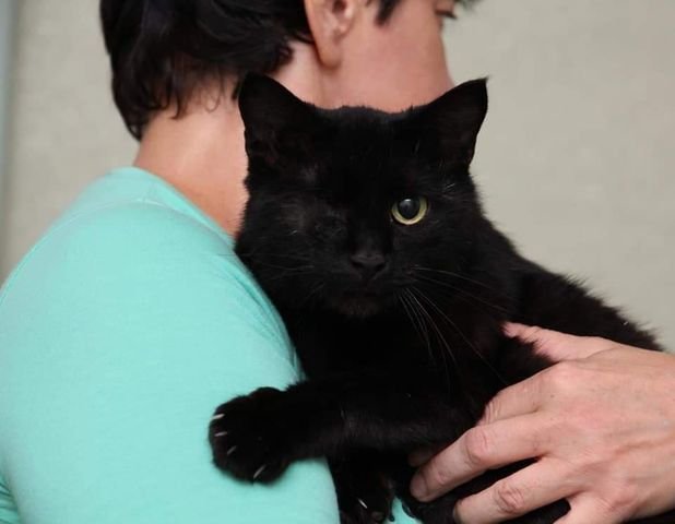 Трогательное создание Трогательное создание