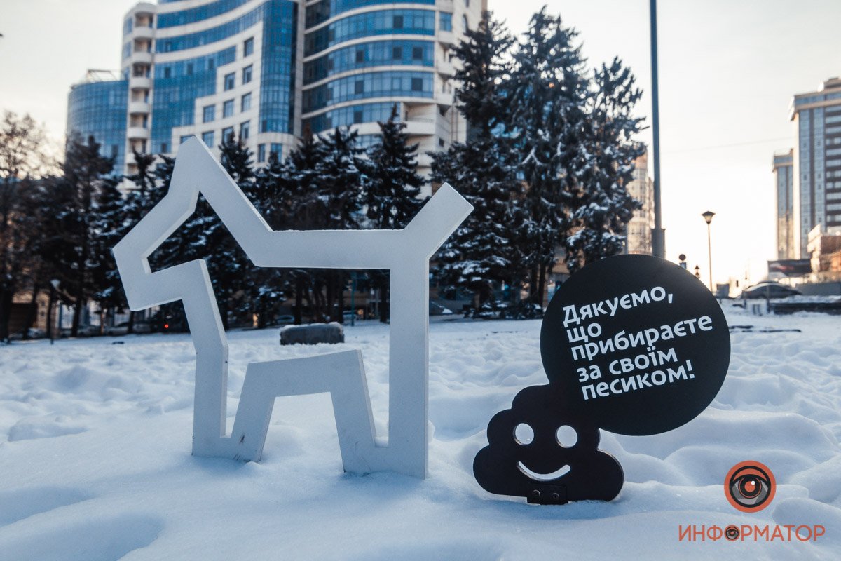 Гулять со своими любимцами привыкли все, а вот убирать за ними — единицы Гулять со своими любимцами привыкли все, а вот убирать за ними — единицы