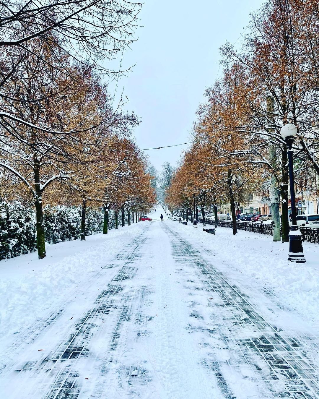 Фото: @svetlanka_protsiv