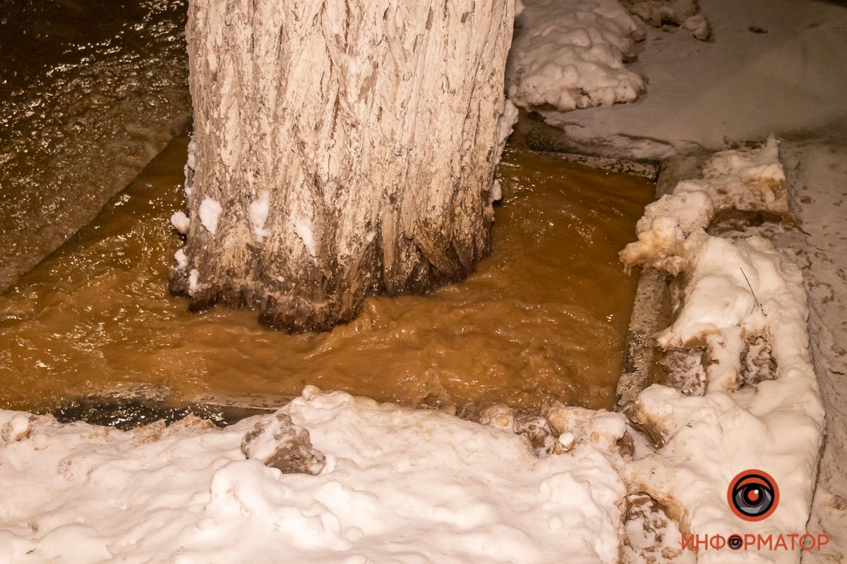 И из приствольной лунки возле дерева И из приствольной лунки возле дерева