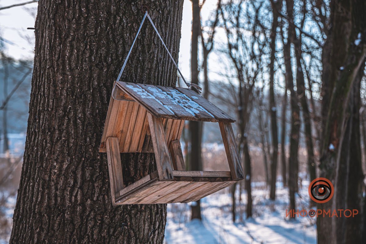 Не забудьте покормить птичек