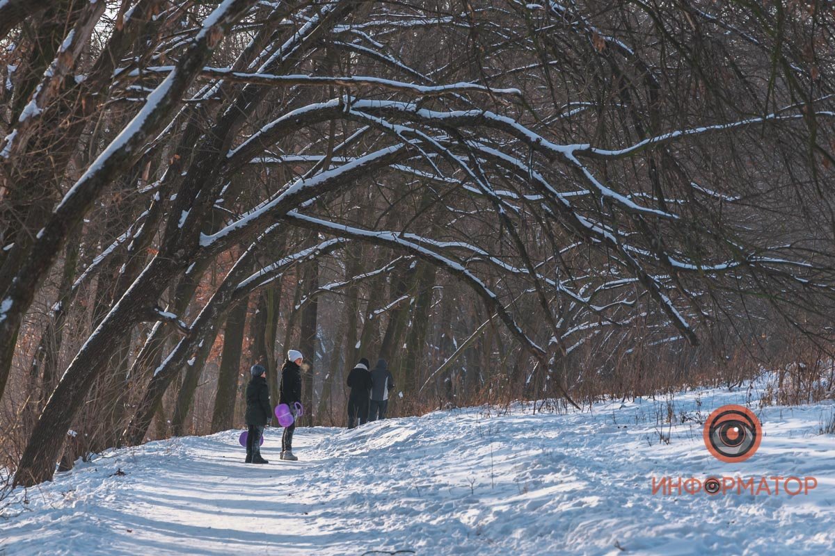 Волшебный лес