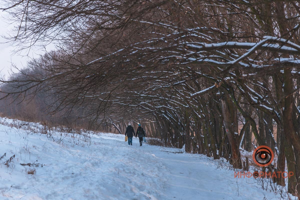 Романтические прогулки