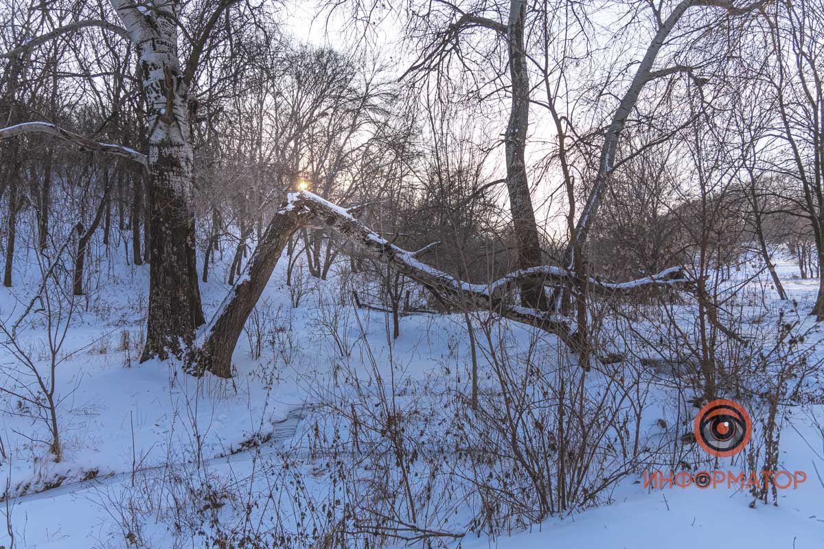 Под весом снега 