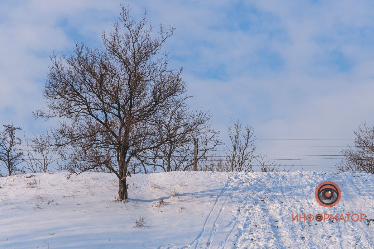 Прекрасная пора 