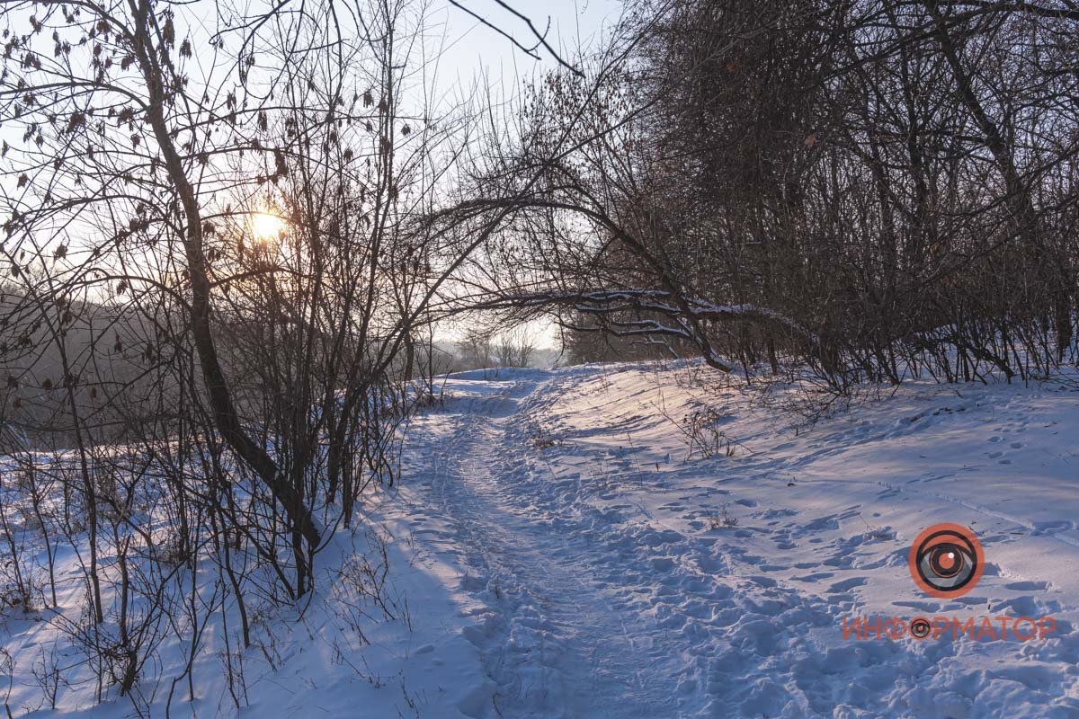 Куда заведет