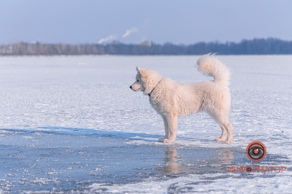 Кто тут хороший мальчик?