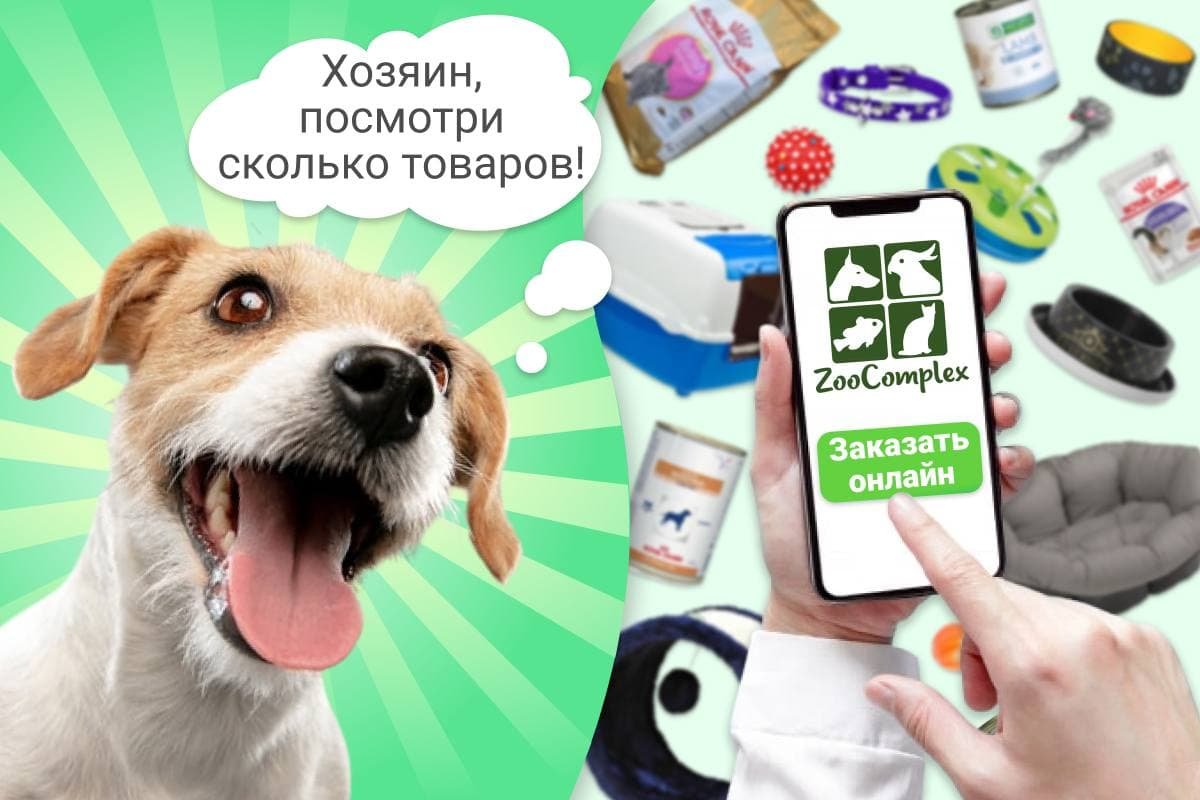 Как в Днепре покупать товары для животных, не выходя из дома 1