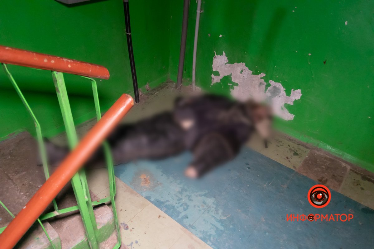 Предварительно, ему стало плохо во время распития алкоголя Предварительно, ему стало плохо во время распития алкоголя