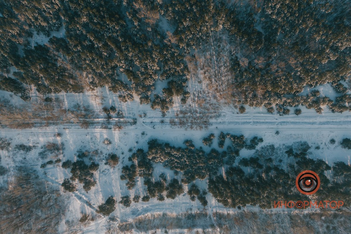 Раз леса не идут ко мне, то я иду к ним