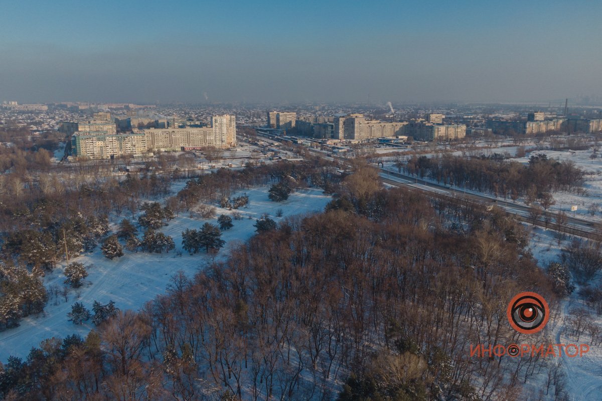Какой смысл любить лес, если ты по нему не гуляешь, а только смотришь на него из окна квартиры и думаешь, что любишь