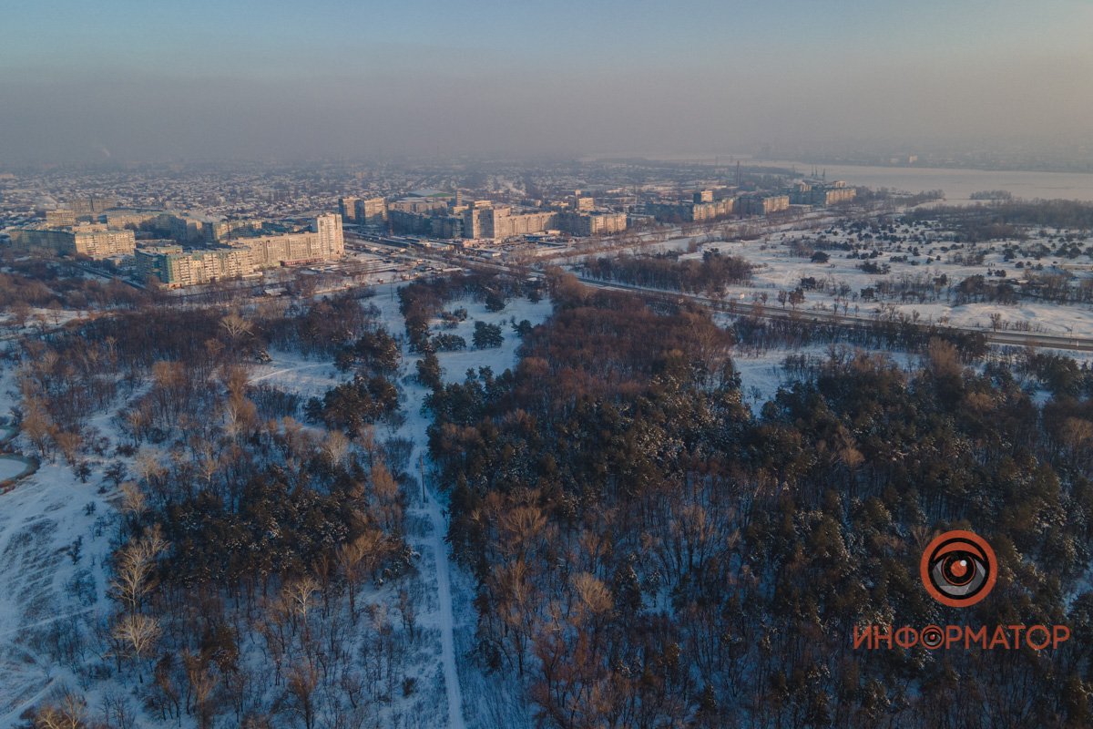 Если когда-нибудь вас одолеет печаль или тревога — отправляйтесь в лес