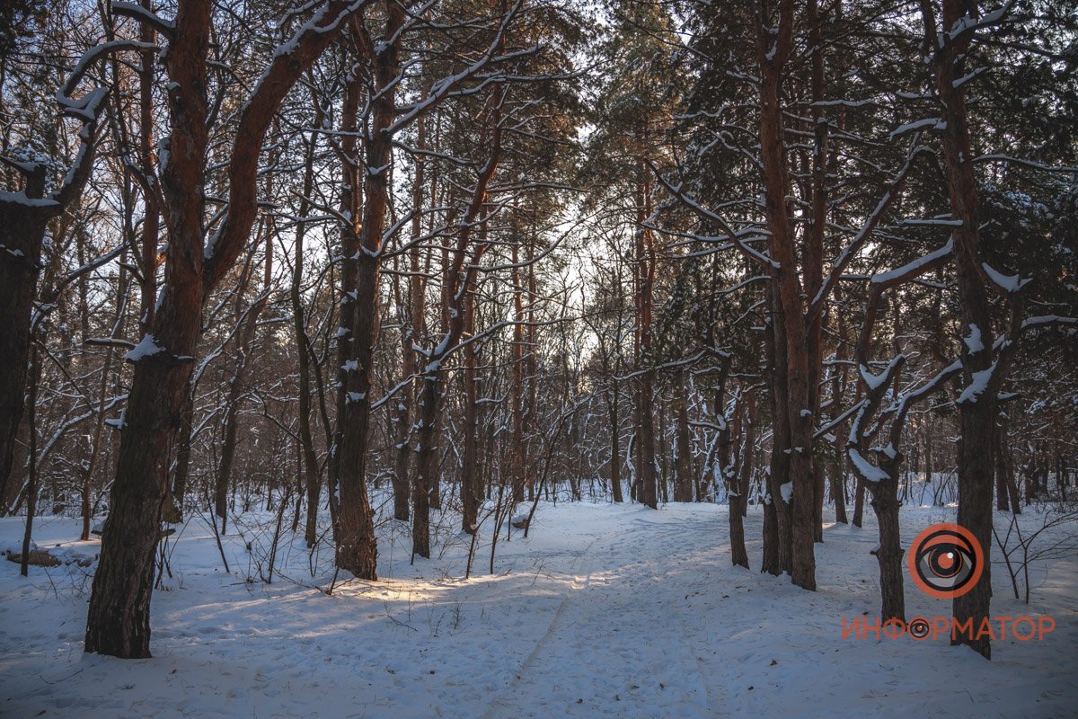 Захочет — напугает тебя гулким, как выстрел, карканьем ворон