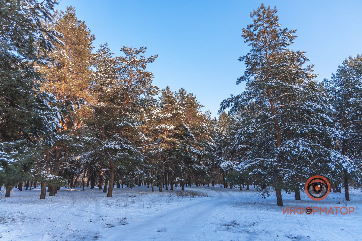 А может ты понравишься ему, и он позволит солнышку найти тебя
