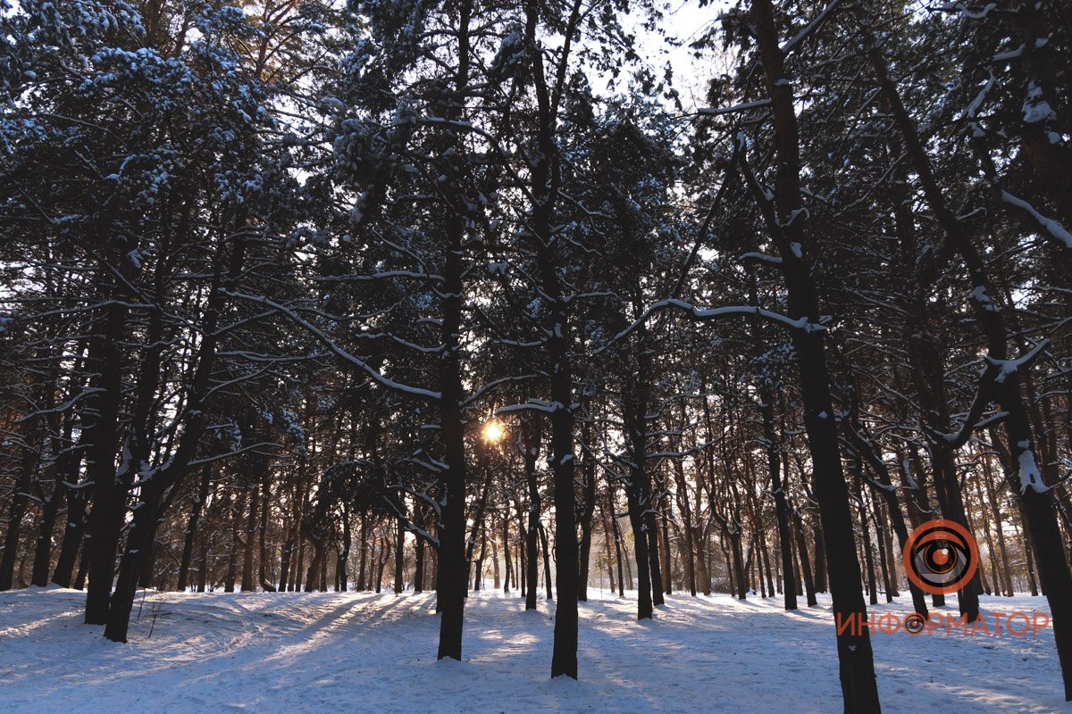 Высушит мокрые рукавички, согреет и позволит твоей голове отдохнут