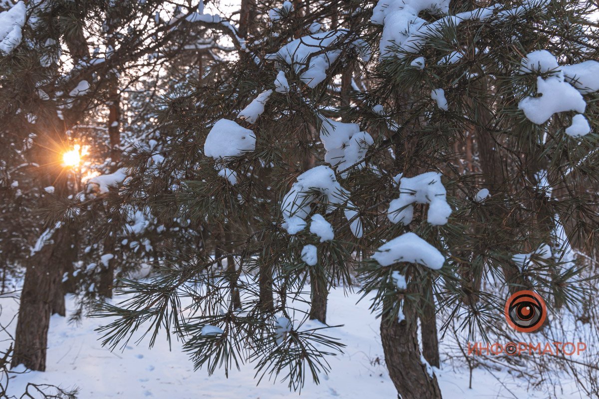 Береги его. Он один из немногих, кто в любое время готов выслушать тебя