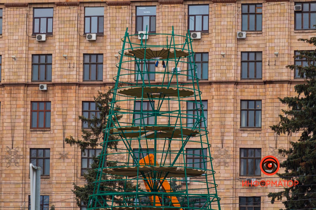 От зеленой красавицы остался только каркас От зеленой красавицы остался только каркас