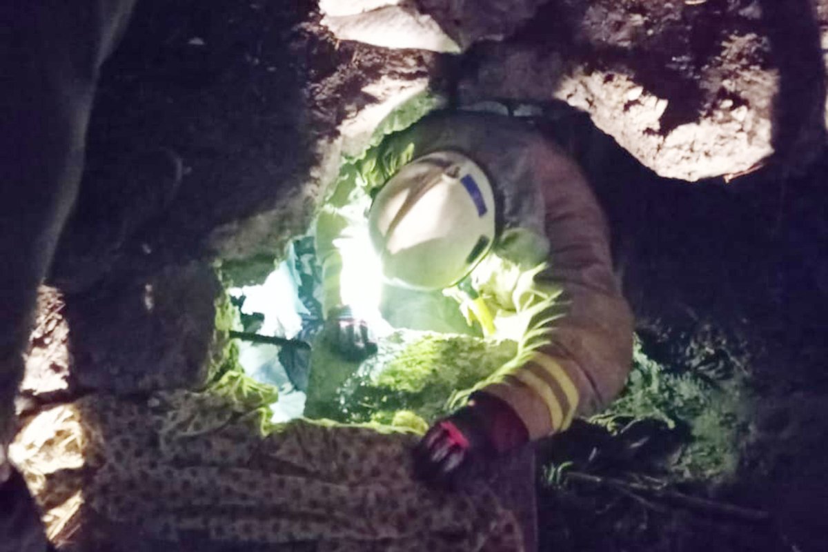 Мужчина нуждался в помощи медиков и спасателей Мужчина нуждался в помощи медиков и спасателей