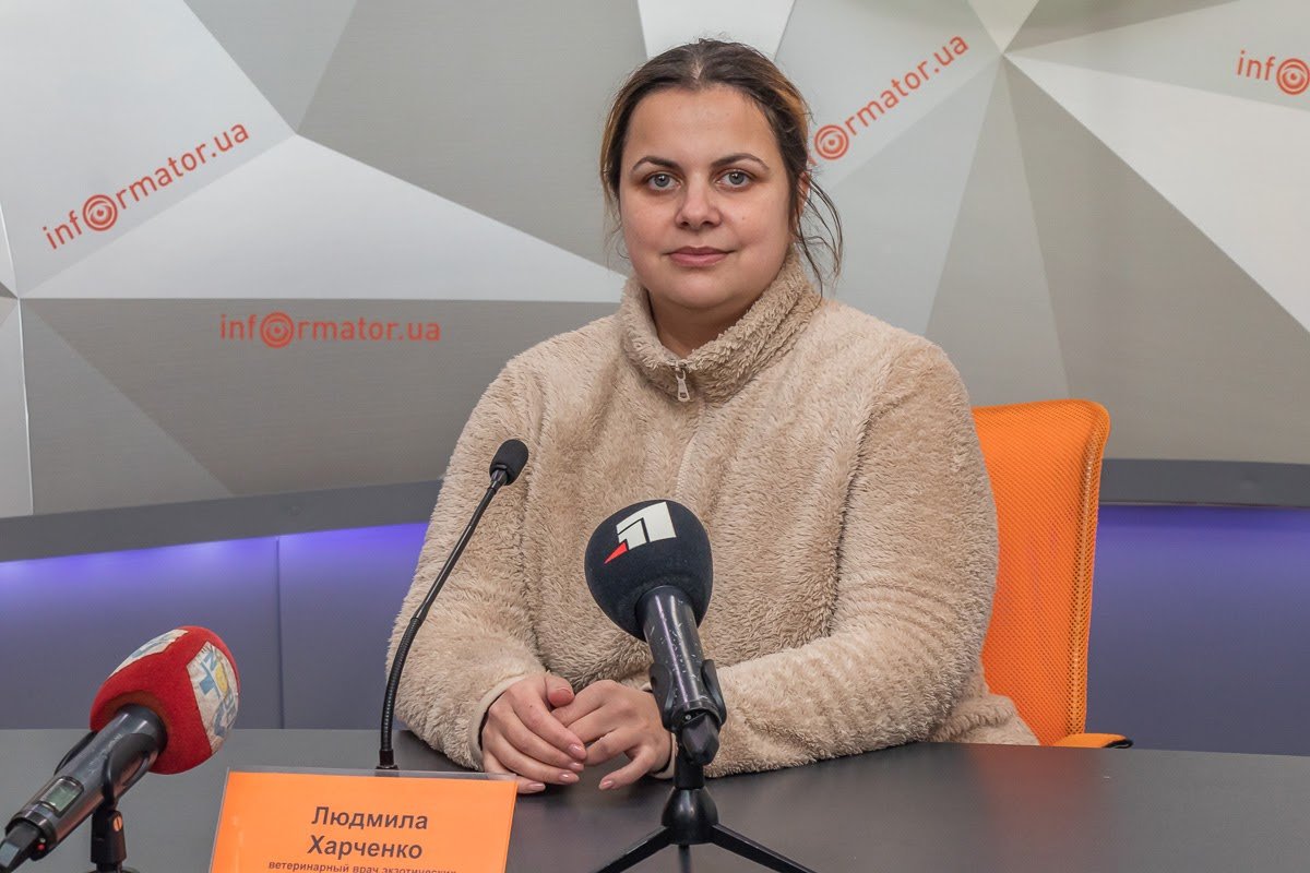 Живые подарки: стоит ли дарить животных повышенной милоты на День влюбленных 1