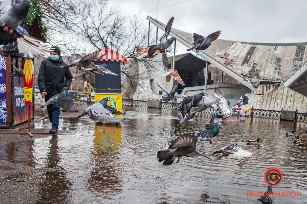 Похоже, птиц все устраивает