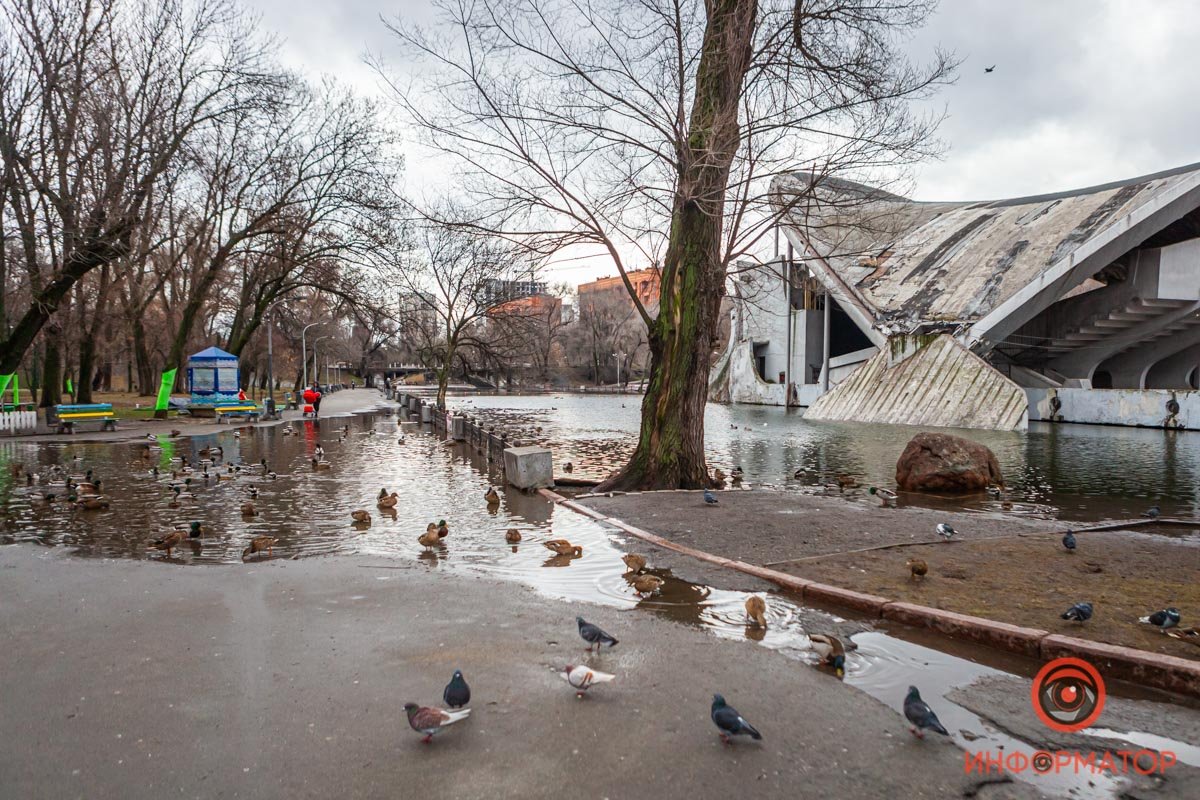 Беда с водоемом