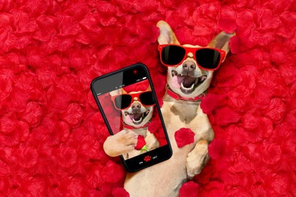 Какие существуют традиции на 14 февраля и как выбрать подарок любимому человеку 1