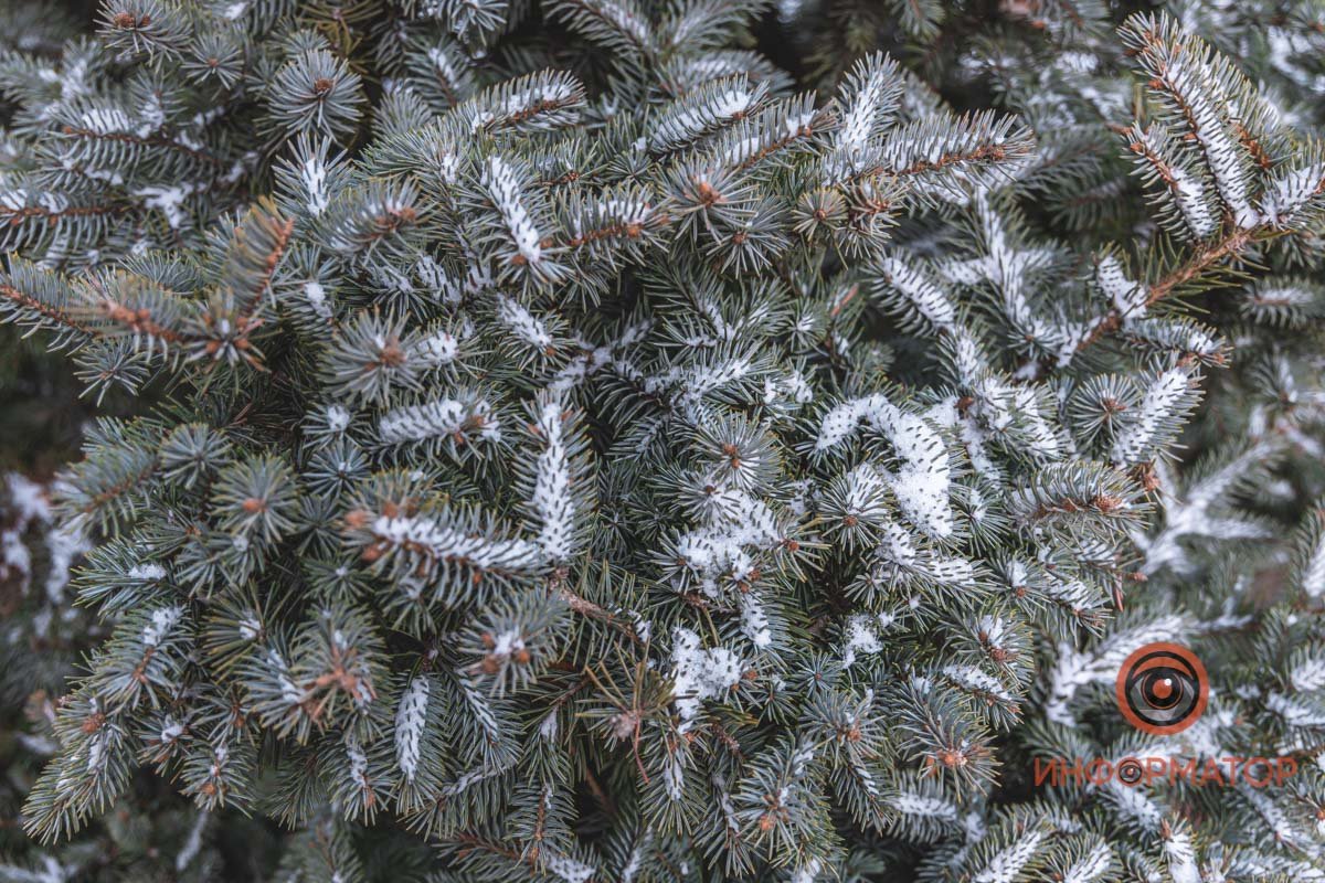 Картинка для рабочего стола Картинка для рабочего стола