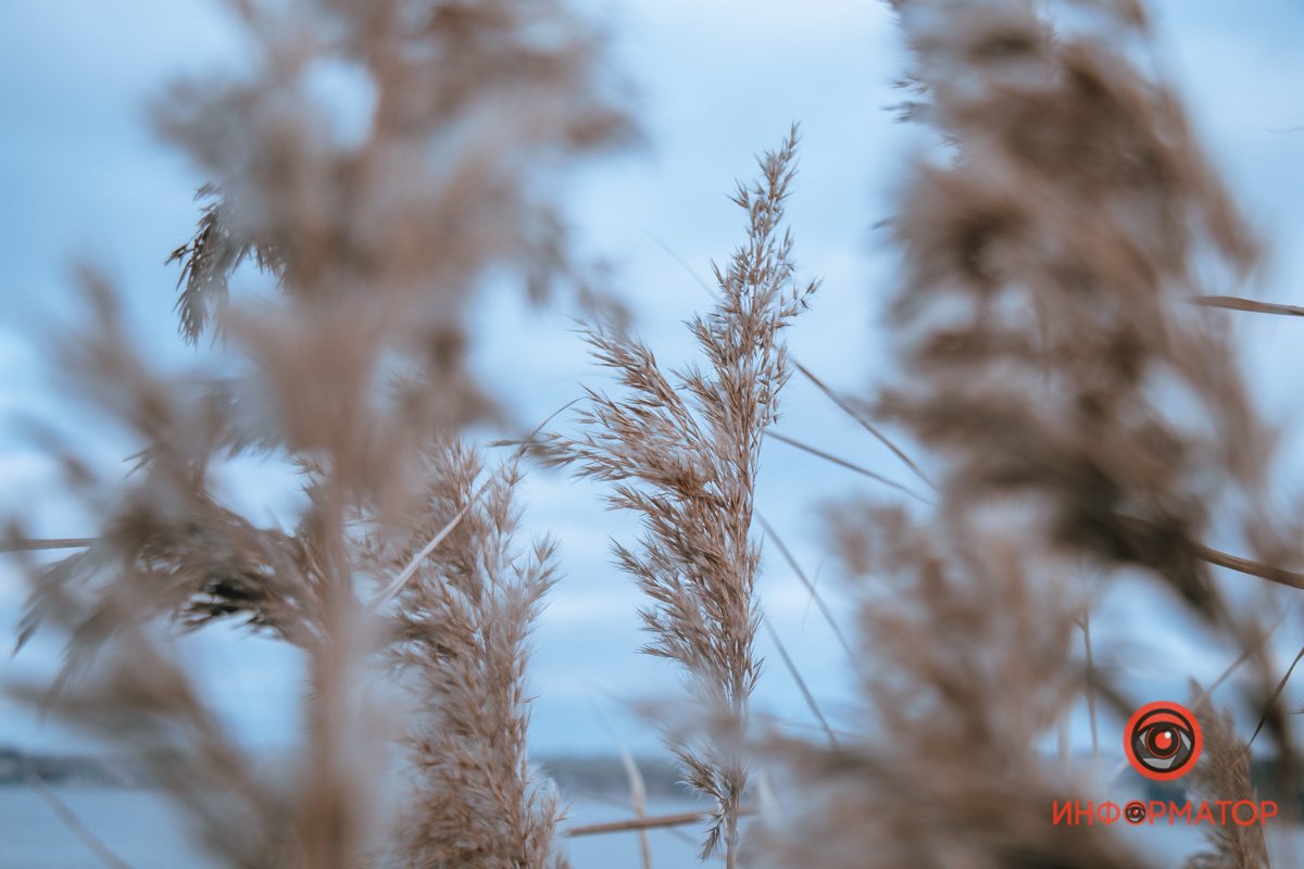 Песни ветра