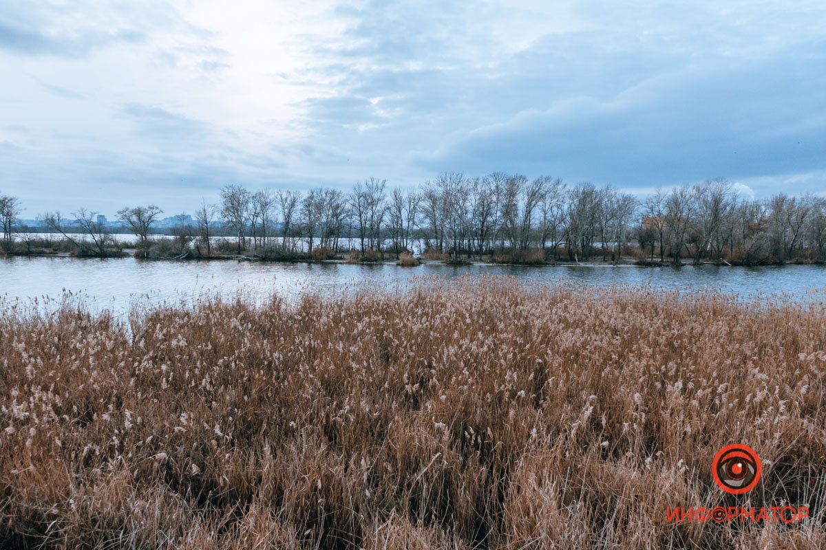 Представьте звук этой картинки