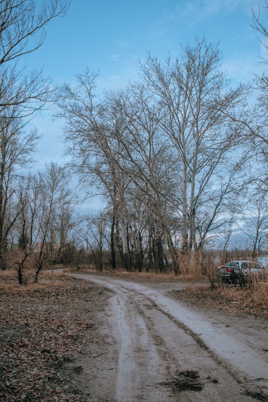 Мы спрятались