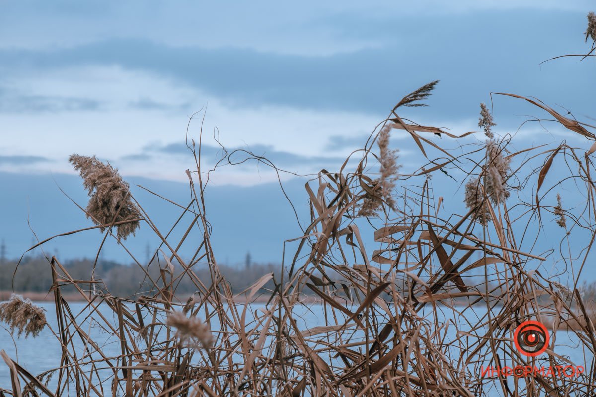 Запутались 