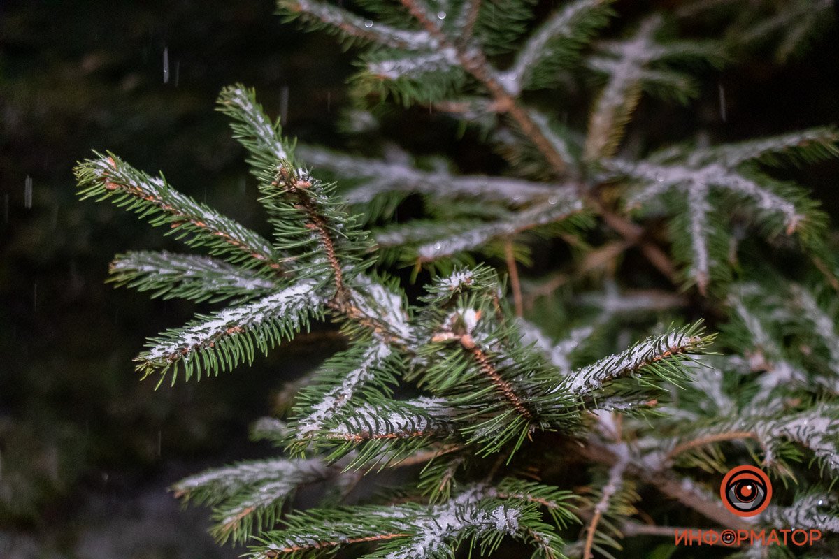 Фотография с запахом