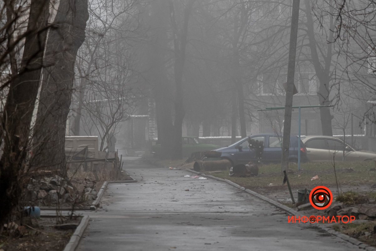 Первые пешеходы Первые пешеходы