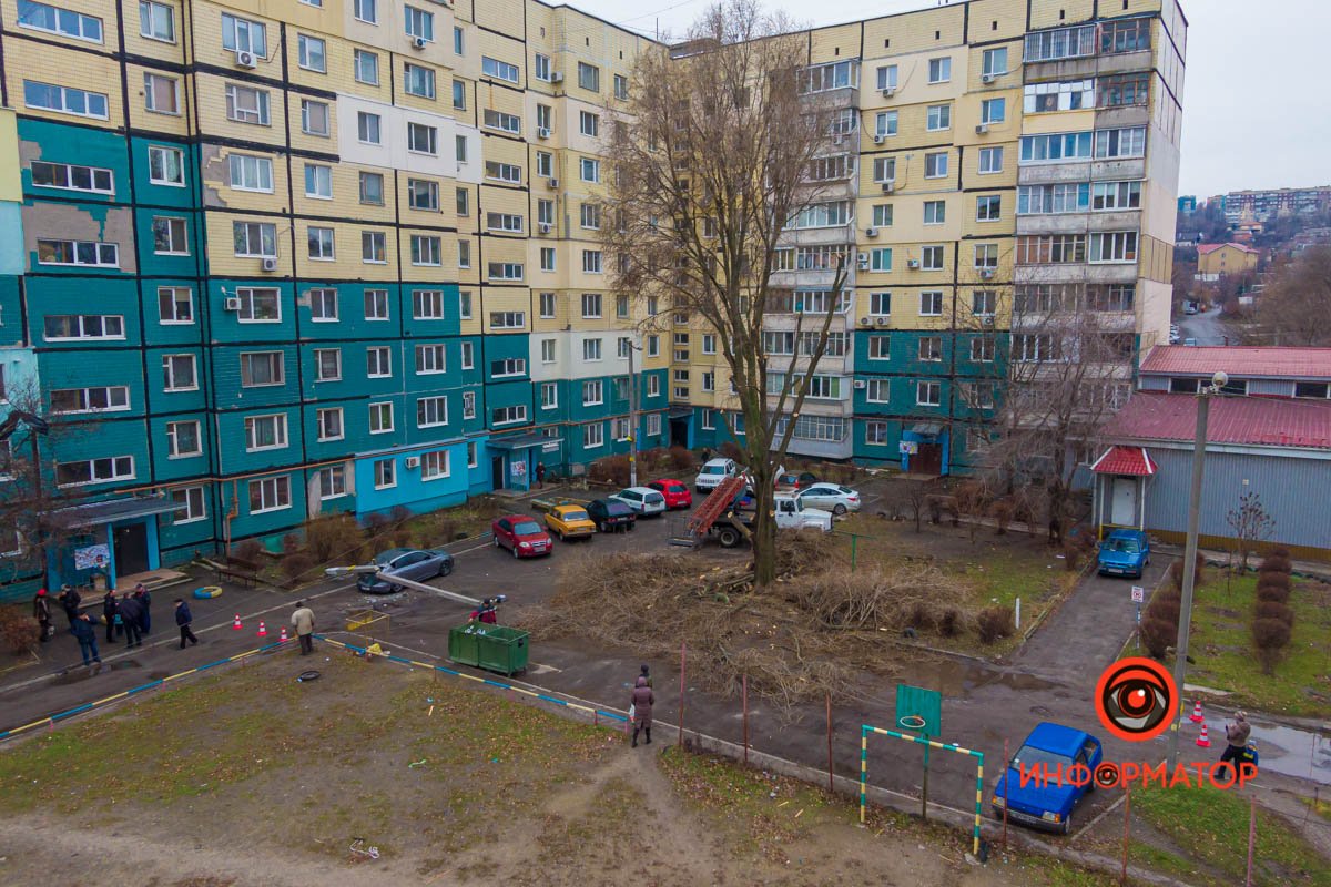 Во дворе пилили ветки деревьев Во дворе пилили ветки деревьев