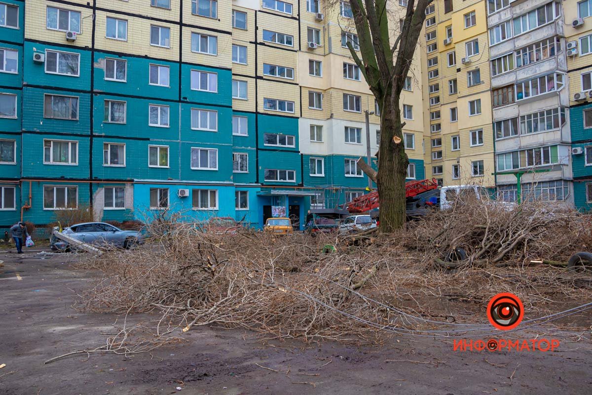 Одна из веток упала на провода Одна из веток упала на провода