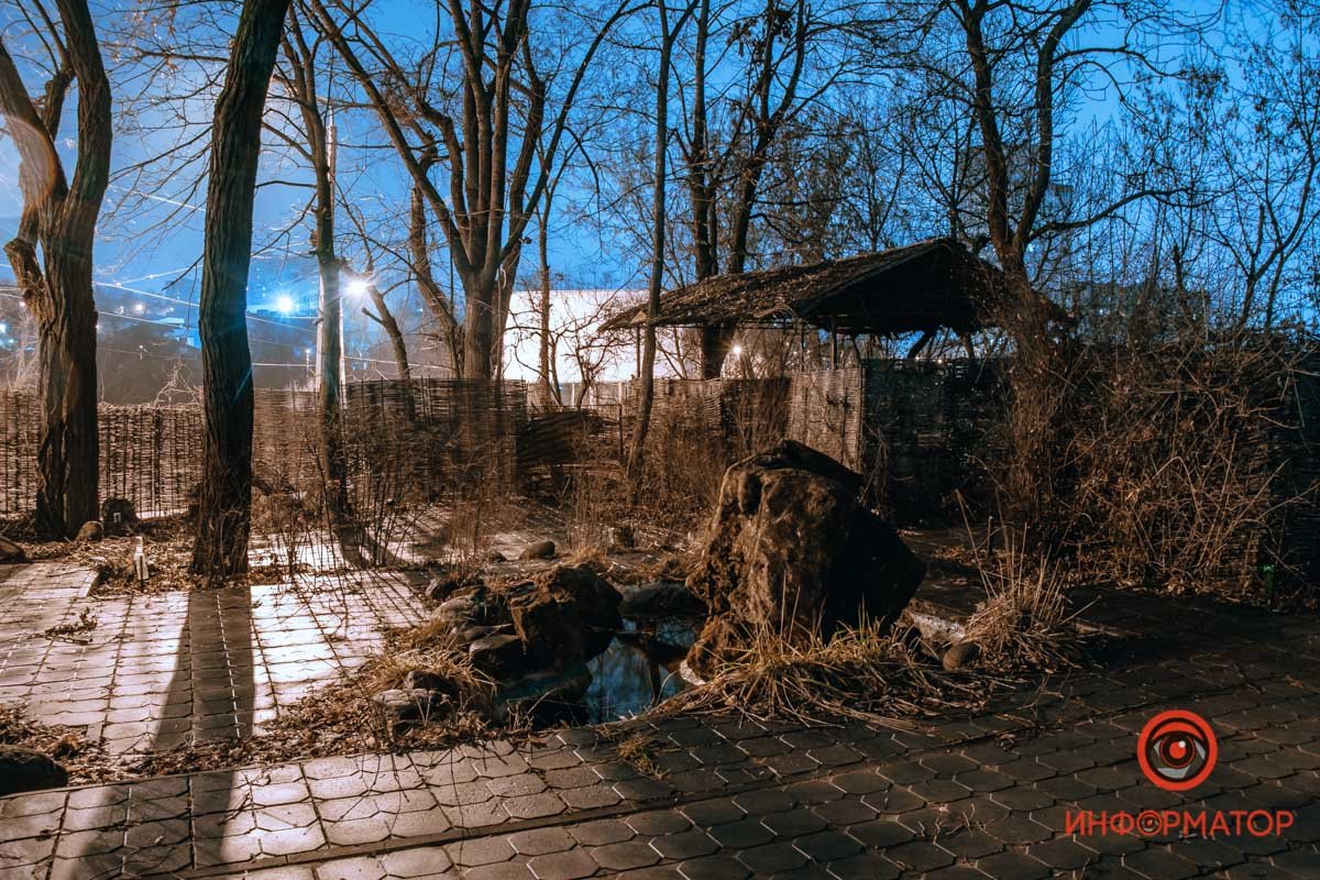 Тростниковый забор