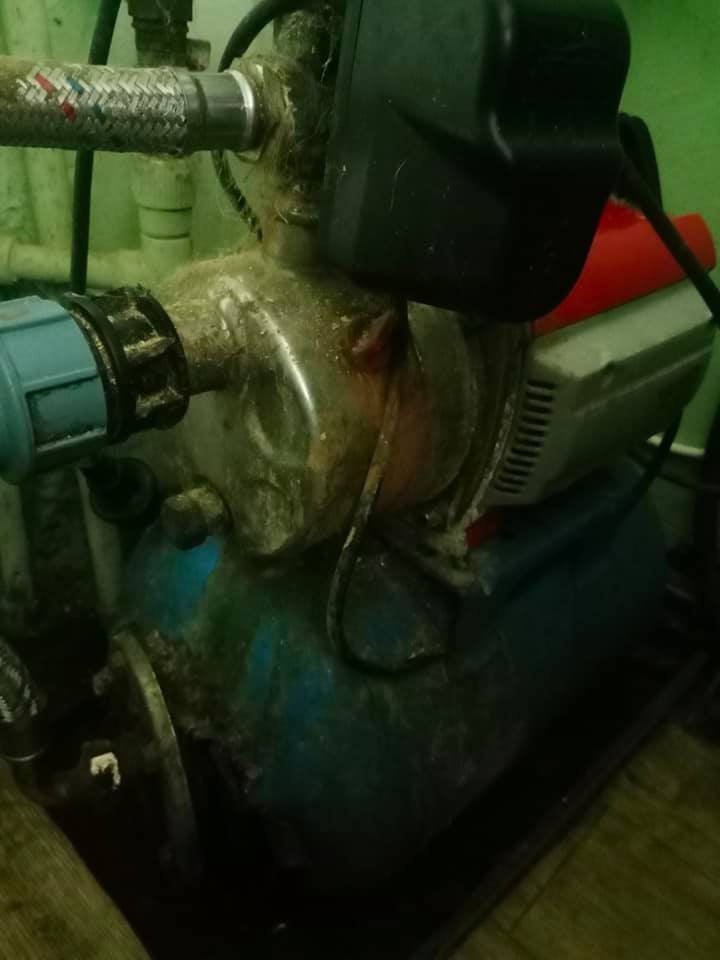 В Днепре затопило приют для животных: срочно нужна помощь 1