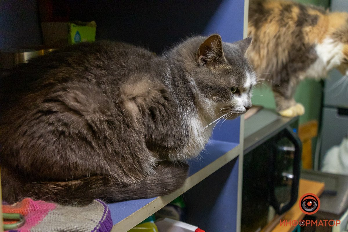 Малыши прячутся - где повыше