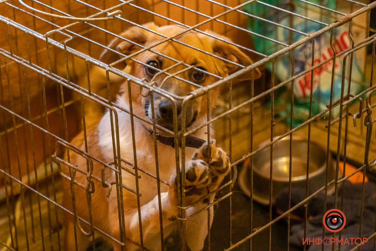 Забери меня