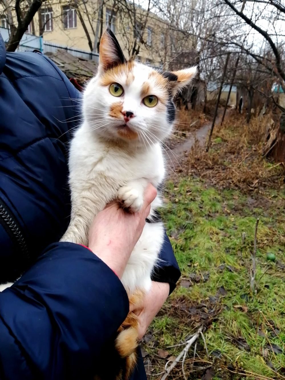 Любопытный кусь Любопытный кусь