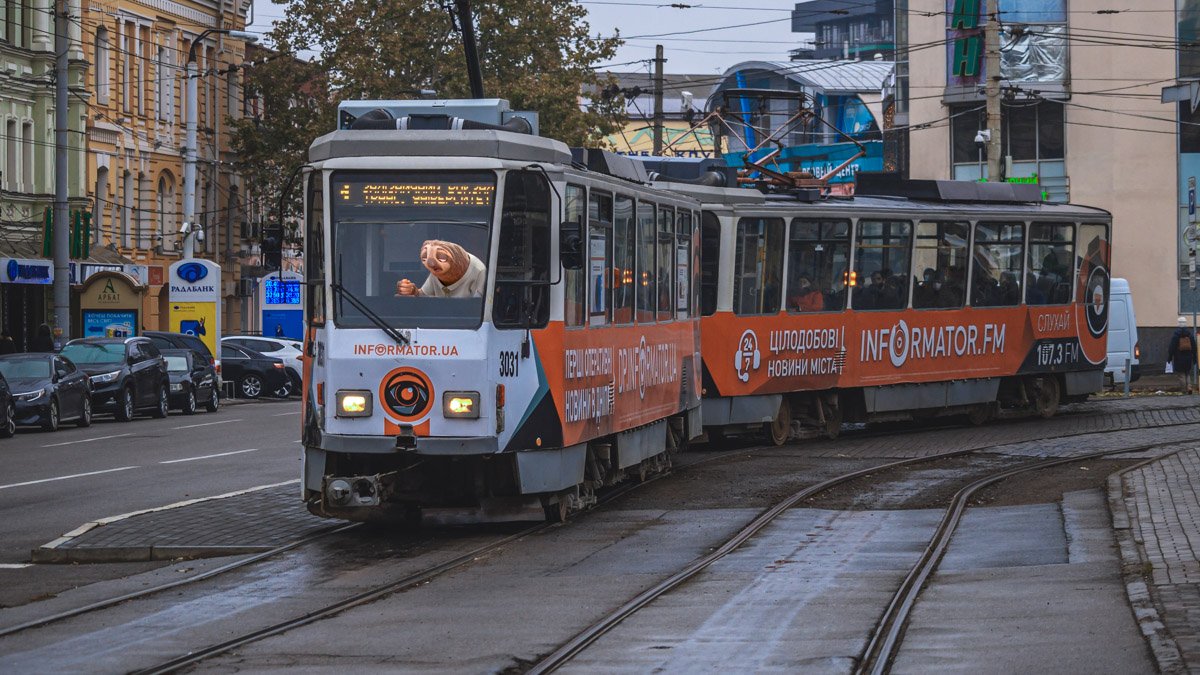Возьми себя в лапки