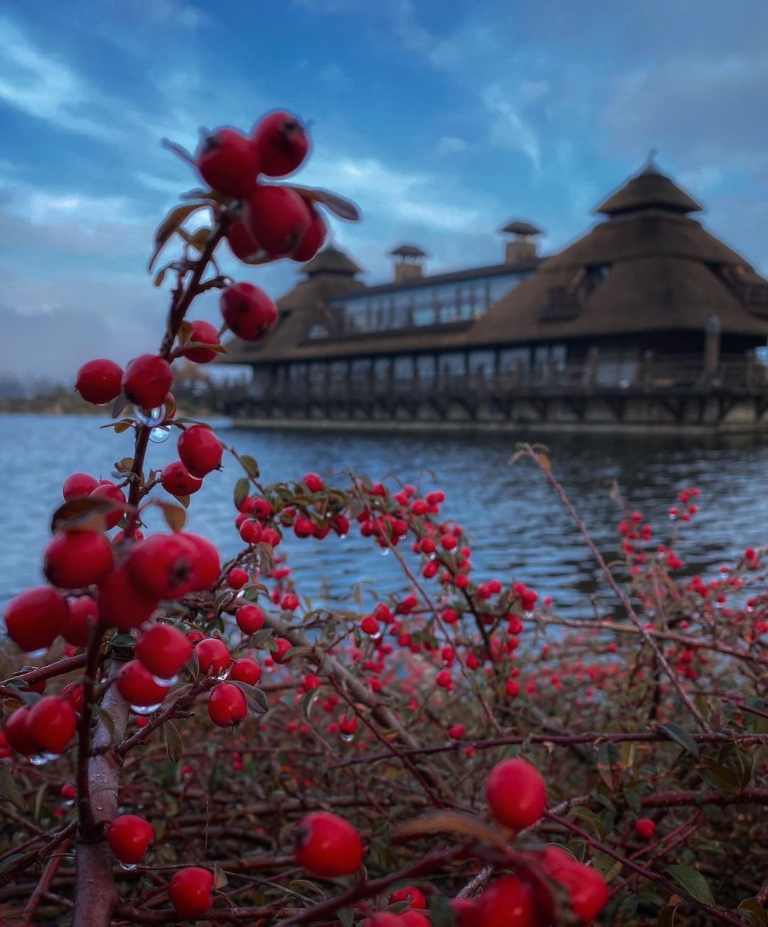 📸: @garackevich.irina 📸: @garackevich.irina