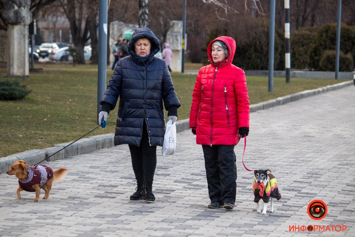 Хозяйка, хозяйка № 2, прошу, забери меня отсюда домой, пожалуйста