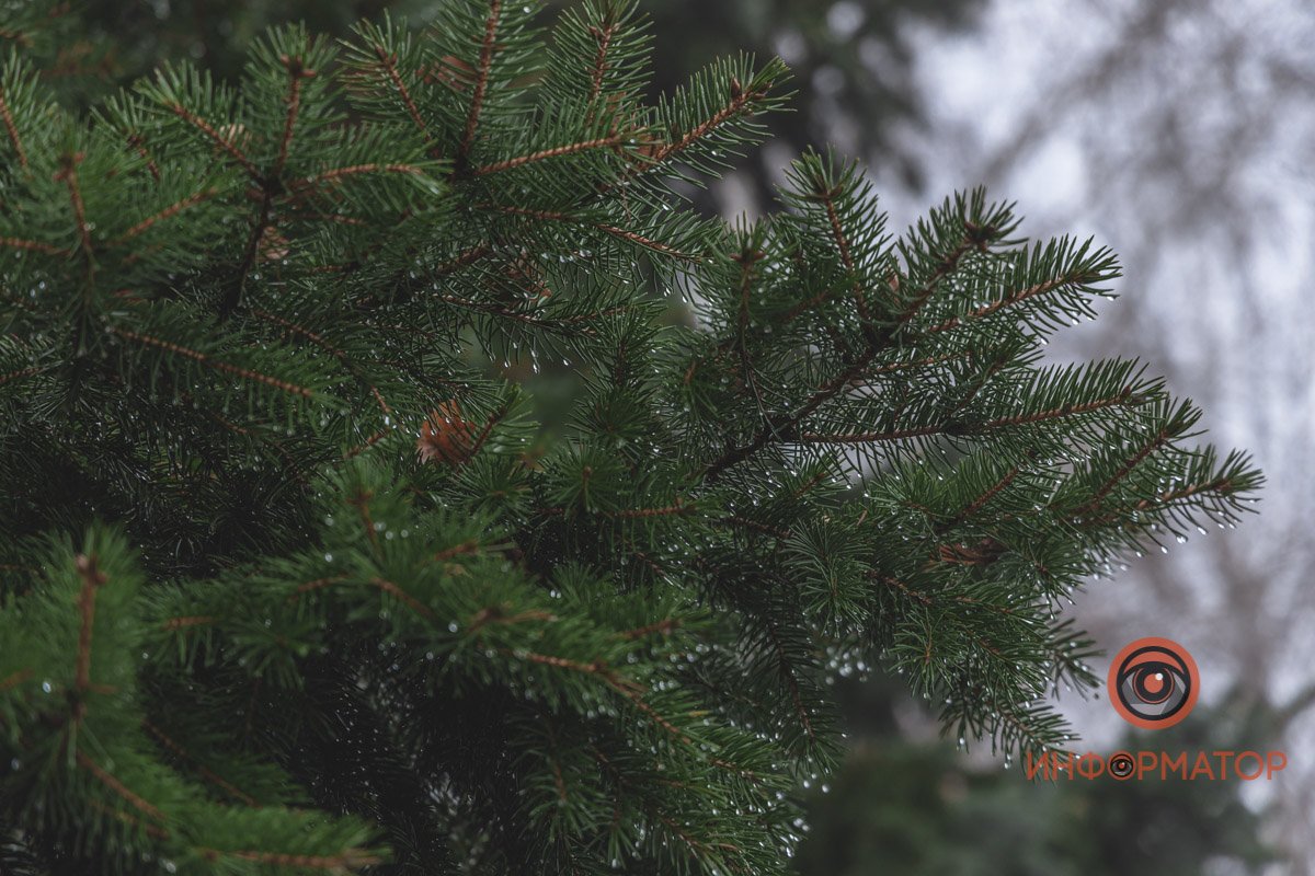 Вы замечали, что у каждого месяца в году есть свой запах?