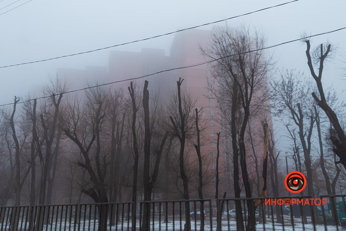 Депрессивный Тополь