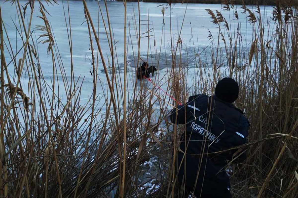 На место направились водолазы