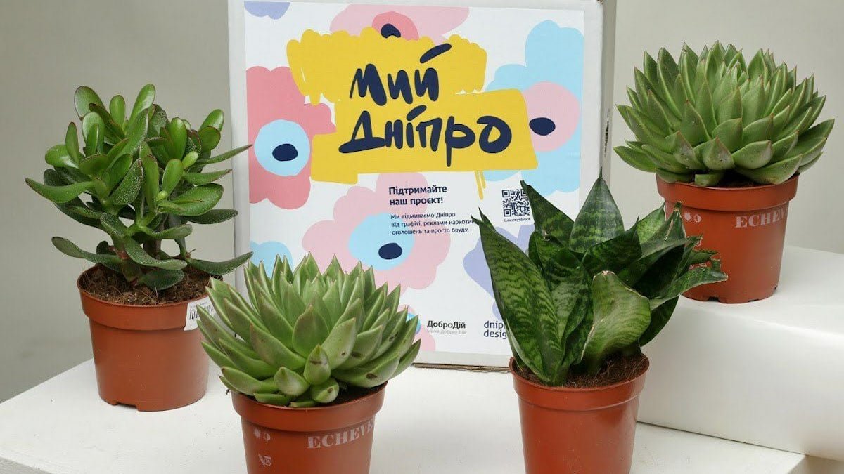 Важный момент заключается в том, что все 100 % пожертвований идут непосредственно адресату Важный момент заключается в том, что все 100 % пожертвований идут непосредственно адресату