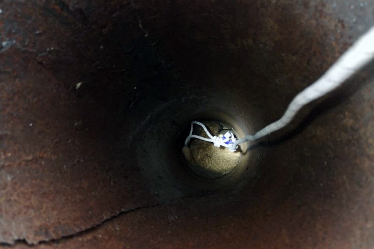 Животное оказалось на глубине около двух метров Животное оказалось на глубине около двух метров