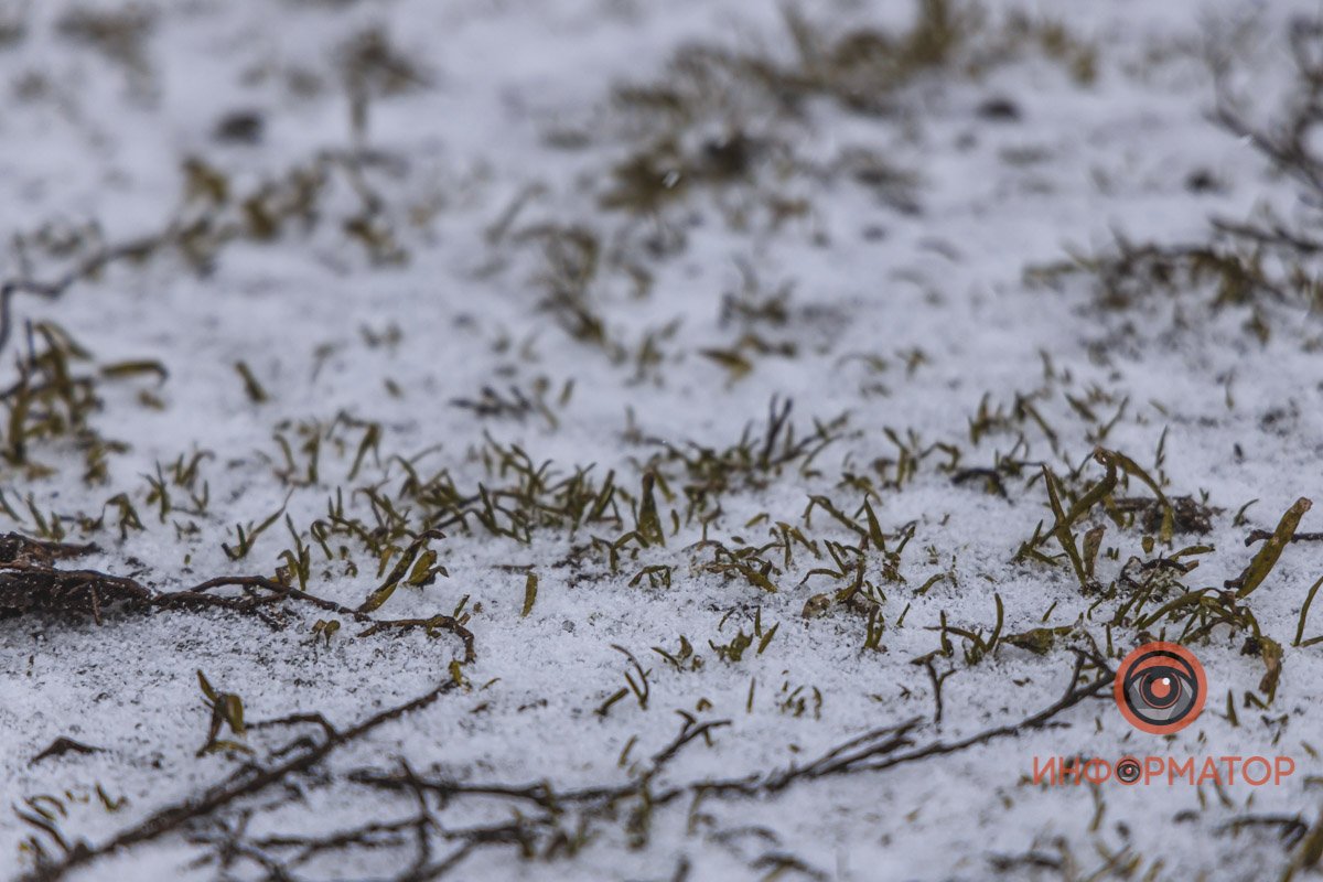 Когда весна?