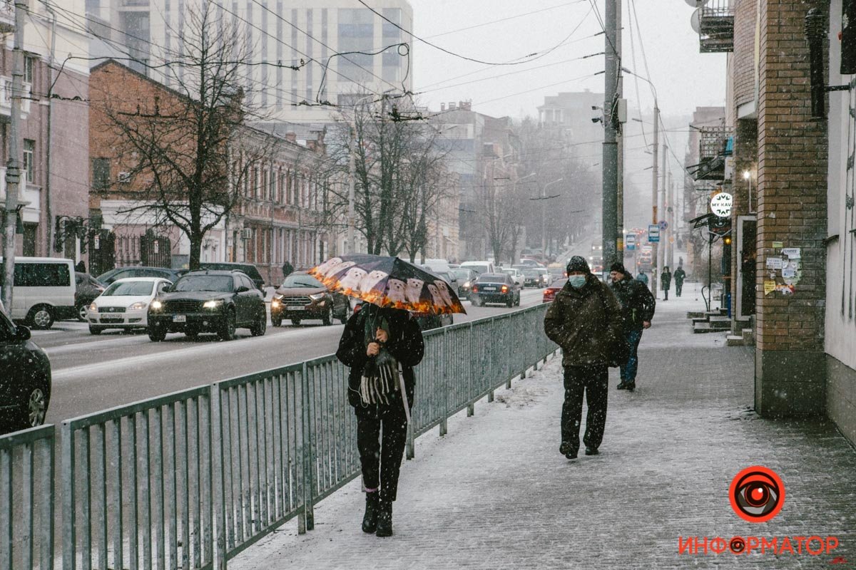 Песики, ну песики. Аааа, собаааки
